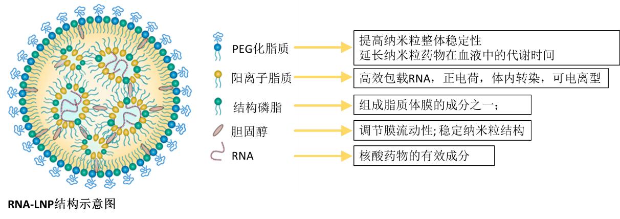 avt-pharma-20230404-33.jpg