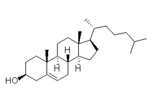 আন্ডার