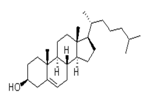 আন্ডার